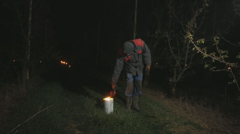 Ortuť teplomera klesla nebezpečne nízko. Ovocinári strávili noc na nohách vonku