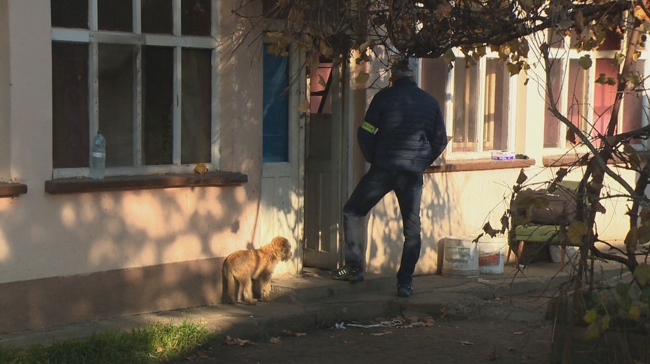 Prípad starenky, ktorú našli pohryzenú od potkanov: Psík z jej domu má obrovské šťastie