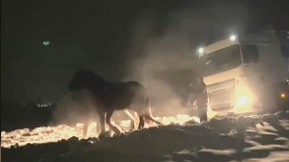 VIDEO: Pozrite sa, ako si kone na Spiši poradili so zapadnutým kamiónom