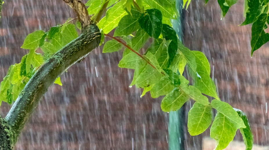 SHMÚ varuje pred búrkami. V niektorých okresoch hrozia aj krúpy