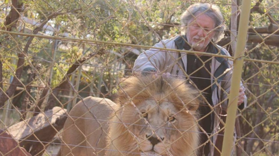 Muž sa počas opravovania plota chrbtom otočil k levom. Kruto na to doplatil