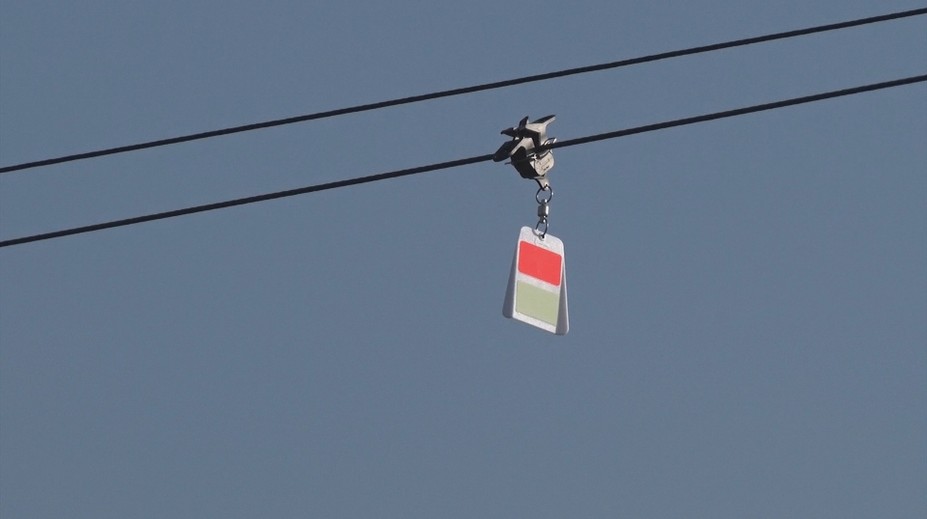 Slovenskí špecialisti začali ako prví na svete s unikátnou záchranou vtákov. Výsledok ohromil