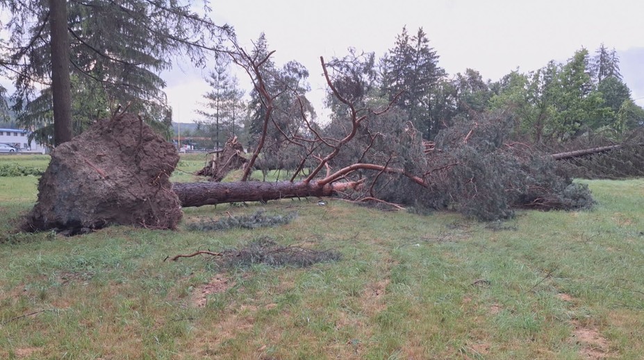 Takmer 200 zničených stromov. Kalamitu v areáli múzea vo Svidníku odstránia vojenskí lesníci