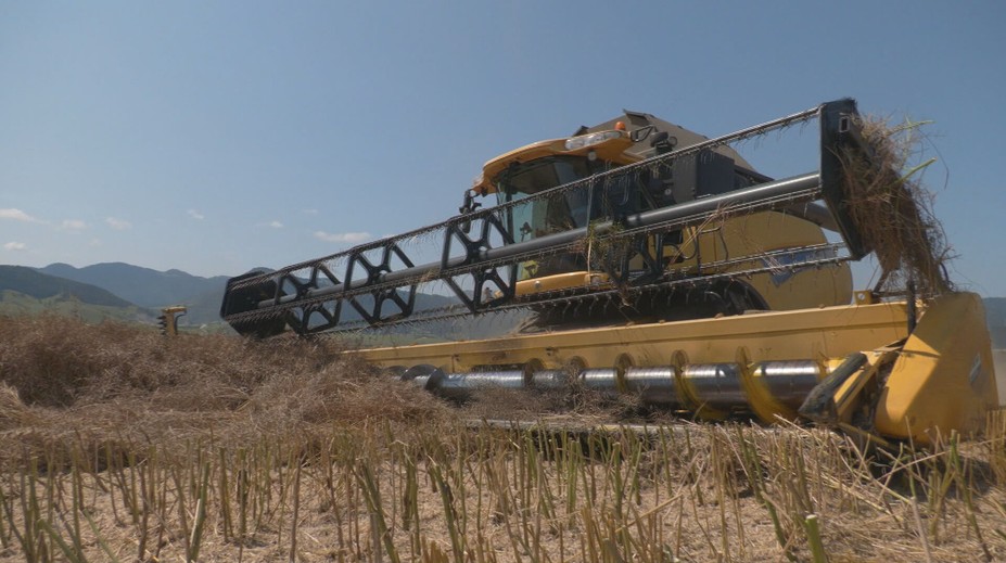 Ceny extrémne vystrelili, potraviny budú drahšie. Farmári oznámili, kedy to zasiahne Slovákov
