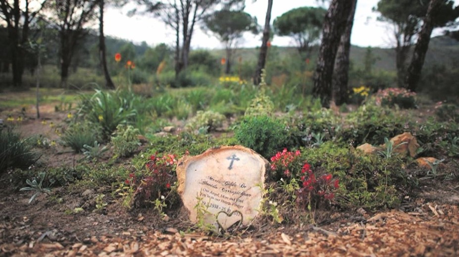 Chceli by ste, aby z vás po smrti vyrástol strom? Je to možné