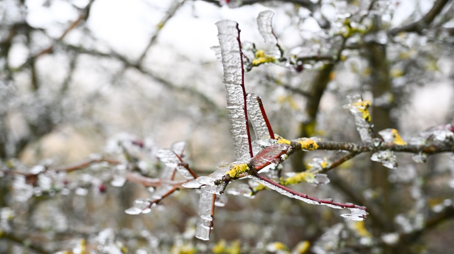 Na Slovensko sa valí prudká zima. Zažijeme mimoriadny pokles teplôt, pozor na veľký mráz