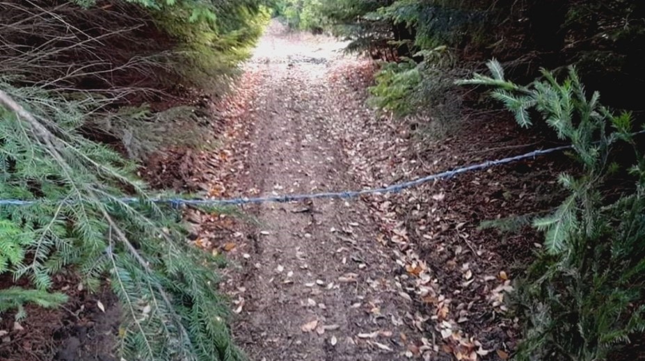 Natiahnutý drôt v lese zranil motorkára. Naša reportáž spôsobila poriadny rozruch medzi lesníkmi