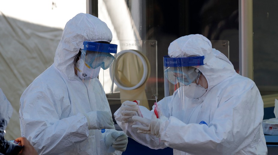 V USA potvrdili prvý prípad koronavírusu u voľne žijúceho zvieraťa