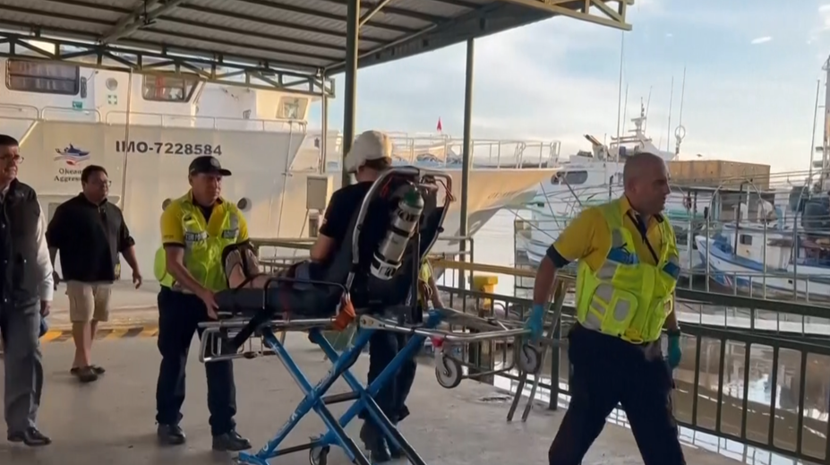 Výskumný ponor sa mu takmer stal osudným. Na biológa zaútočil žralok, vážne ho zranil na hlave a ruke