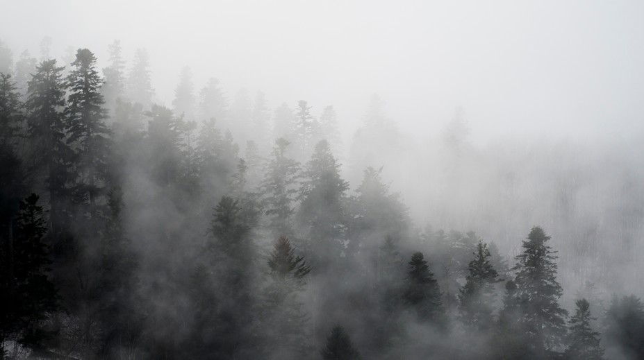 Zamračené počasie pokračuje. Do Vianoc veľké zmeny nečakajte