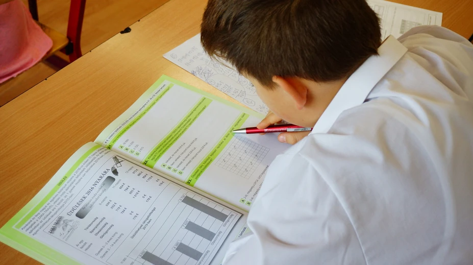 Výsledky monitoru piatakov: Takto obstáli žiaci v testoch zo slovenčiny a z matematiky