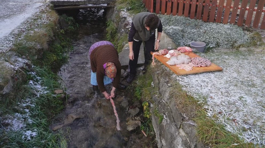 Aj zabíjačka má svoje oficiálne pravidlá. Hygienici radia, na čo máte nárok a dokonca zadarmo