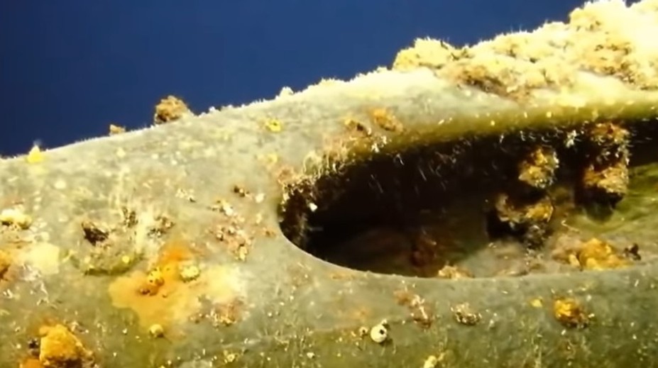 VIDEO: Cenný nález. Po 75 rokoch vypátrali stratenú vojnovú ponorku