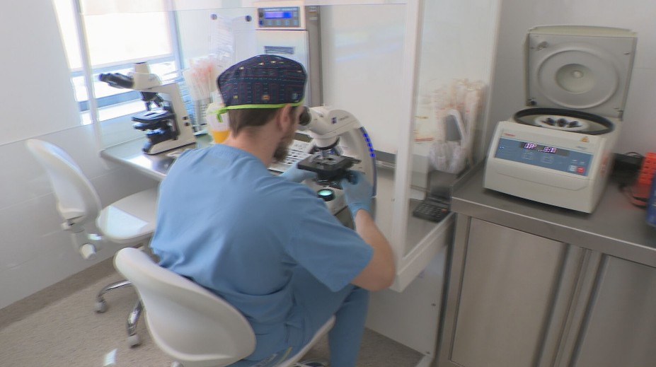 Výzor dieťaťa si môžete vybrať. Po novom darcov spermií čaká nezvyčajný test