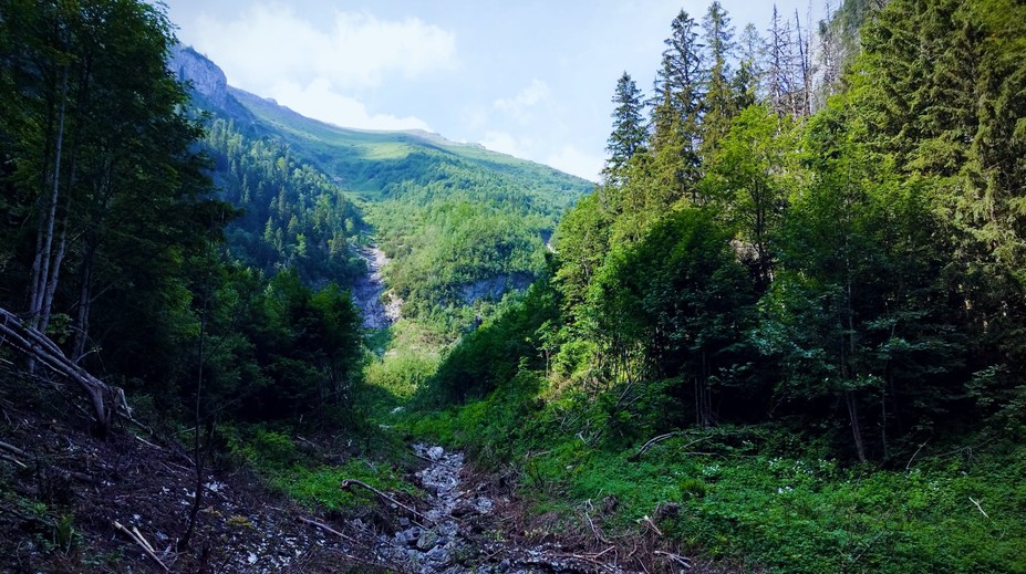 Turisti sa dočkali. Obľúbenú dolinu v Belianskych Tatrách sprístupnili