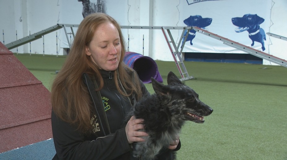 Vážna nehoda, operácie a rehabilitácie. Napriek osudu Bendži vyniká v zábavnom športe