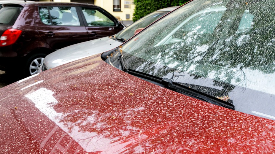 Auto si ani nemusíte umývať. Slovensko opäť zasiahne saharský prach