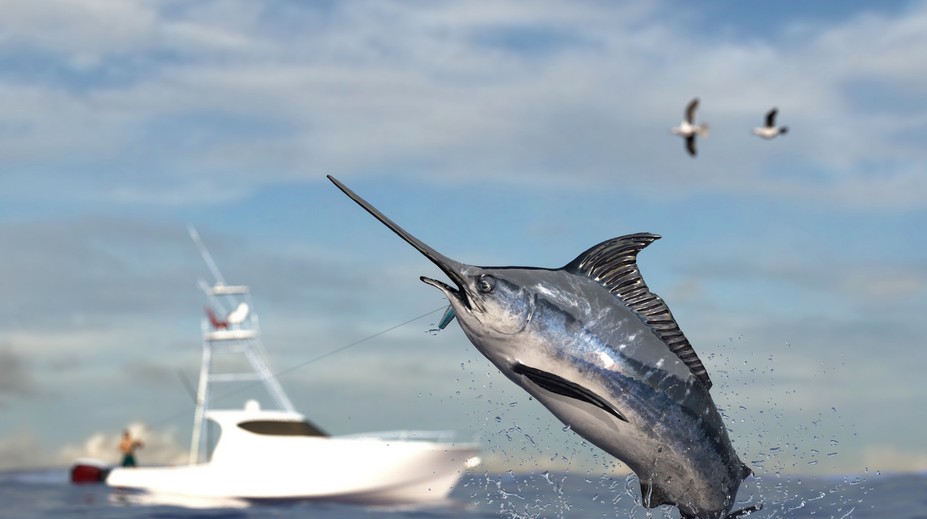 Vzduchom letiaca stokilová ryba udrela do člna, zranila dvoch bratov