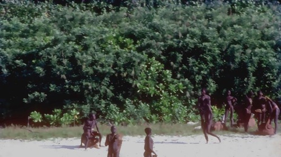 Chcel stretnúť domorodcov, priniesol im kolu. Američan mohol nevedomky vyhubiť celý kmeň