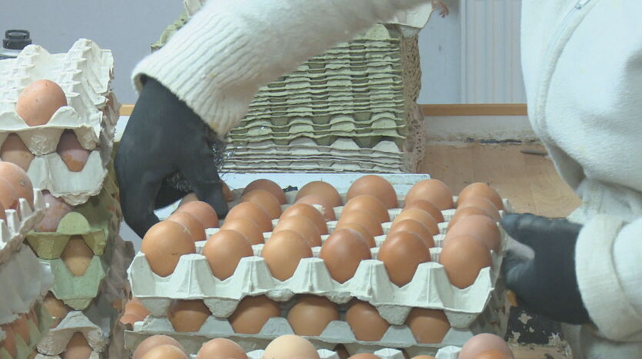 Koniec lacnejších klietkových vajec? Realita v obchodoch je rôzna