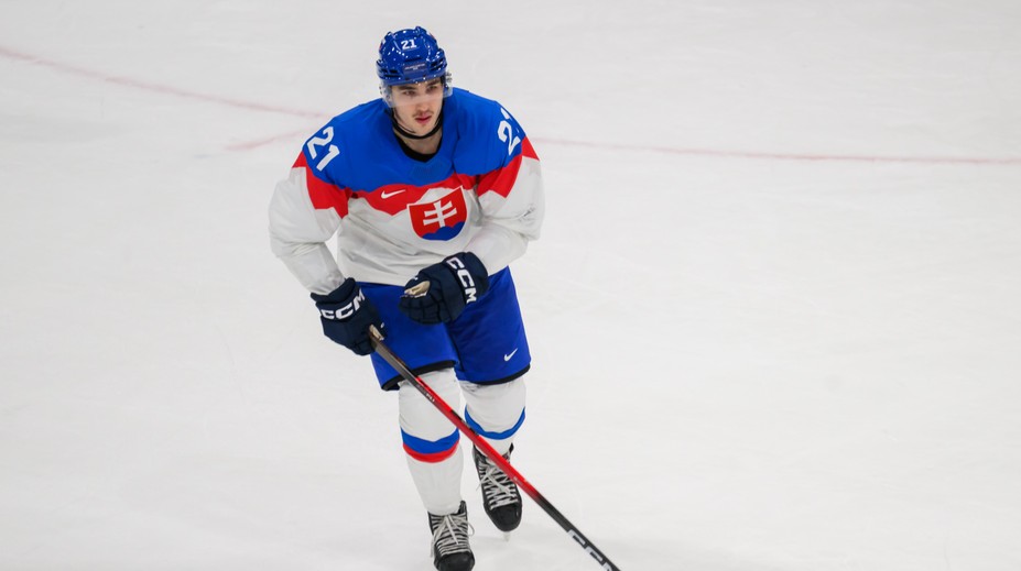 Záhada Ružičkovho konca v Moskve sa vyjasňuje. Radivojevič prezradil, čo mohol byť dôvod