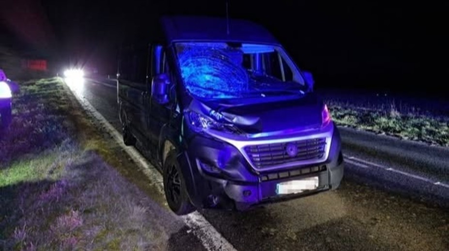 Na vine bývajú väčšinou nepozorní vodiči, no často aj oni sami. Počet usmrtených chodcov rastie