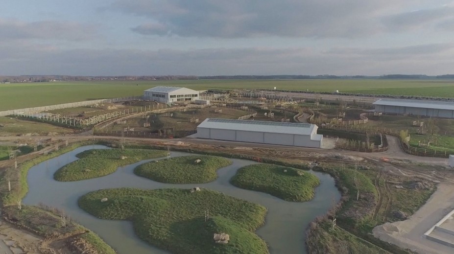 Pozrite sa, ako to vyzerá vo zvieracom domove dôchodcov