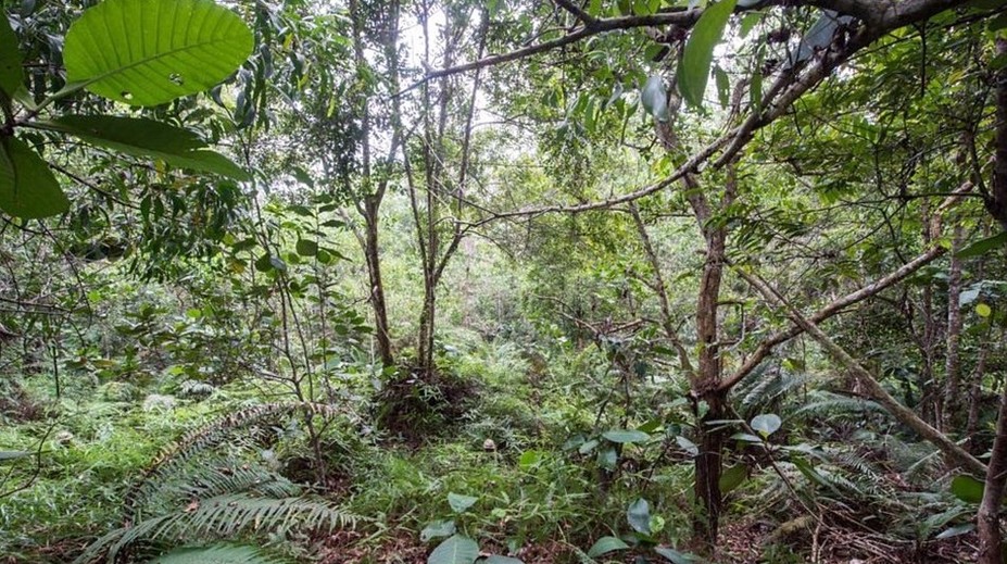 Nájdete na fotografii dvanásť britských vojakov?