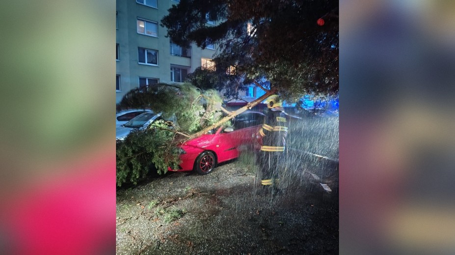 FOTO: Krátka, ale silná. Búrka na východe lámala konáre a vyvracala stromy