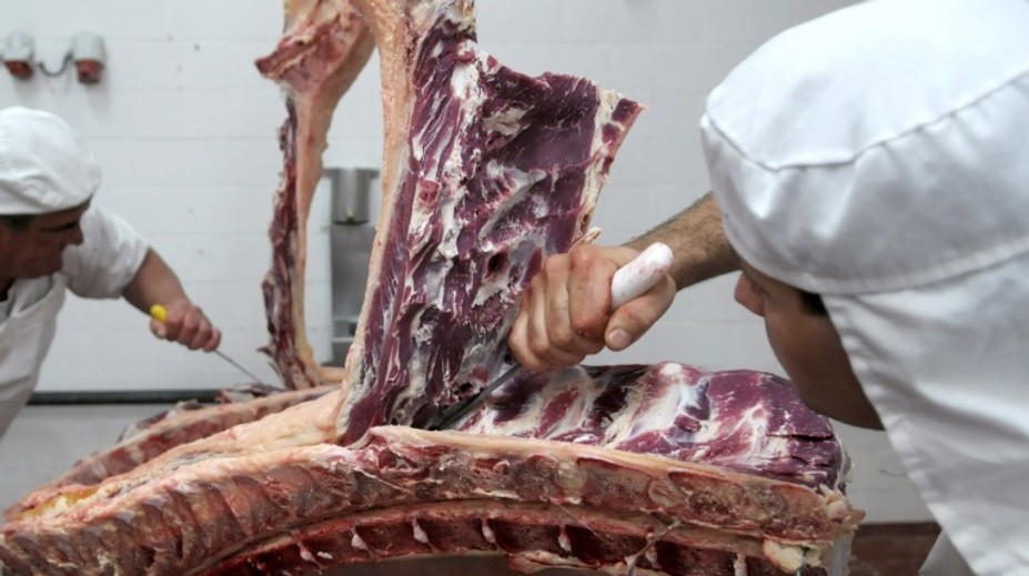 Firma z kauzy poľského mäsa prepustila polovicu zamestnancov. Tovar nechcú ani veľké reťazce