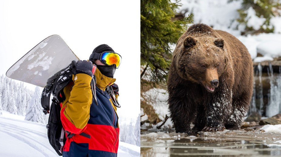 Rus prežil napadnutie medveďom. Pomohol mu telefón