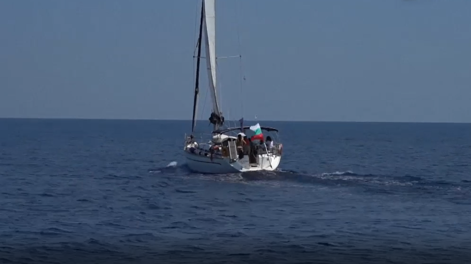 Kapitán lode zachránil šesť mačiatok