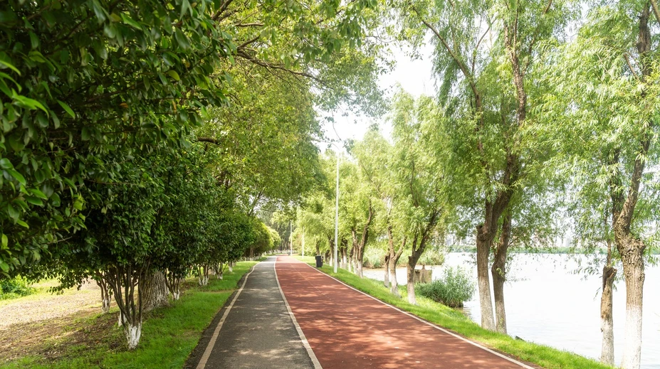 Štyrikrát efektívnejší než chôdza. Slováci si tento šport zamilovali