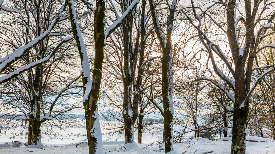 Zima bude iná, než sa čakalo. Meteorológovia zmenili predpoveď