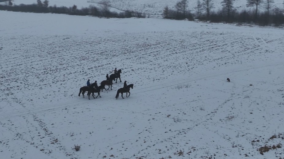 Na koni v zime: Vyskúšali sme si zasneženú vychádzku pod Poľanou