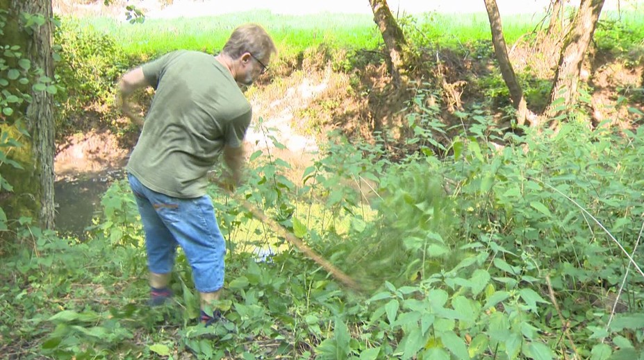 Chytili kosy a pustili sa do práce. Náučný chodník má vďaka dobrovoľníkom znovu šancu ožiť
