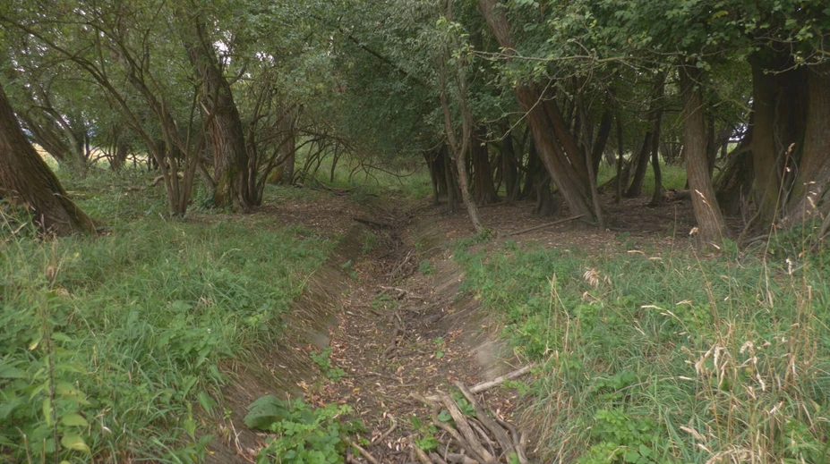 Vody je málo a potoky vysychajú. Farmár prišiel s riešením