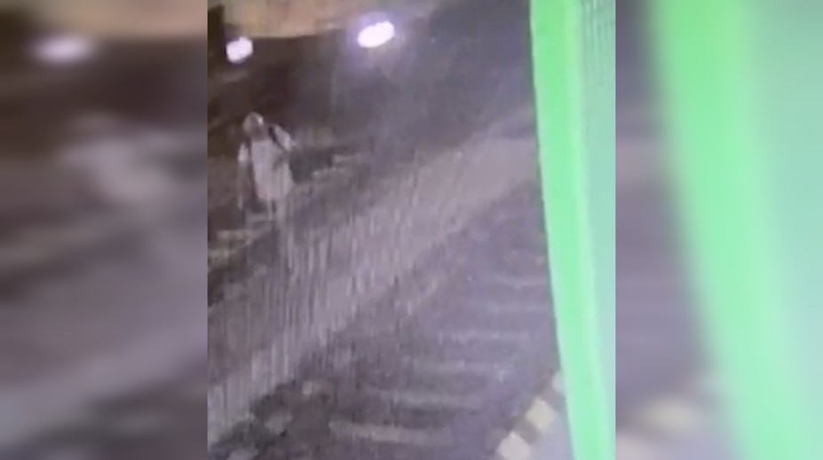 VIDEO: Zábery z ktorých mrazí. Muž vkročil do koľajiska, vzápätí doňho narazil rušeň