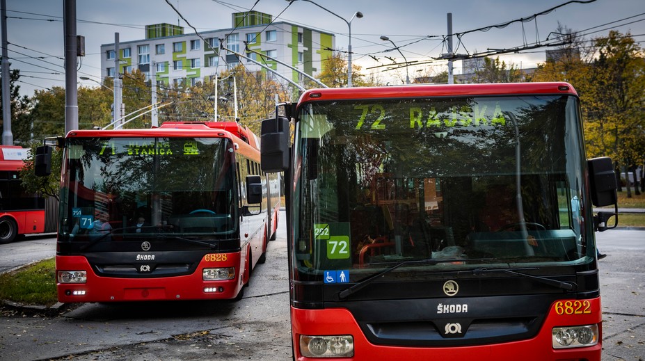 Turista neveril vlastným očiam. Spoje v Bratislave menia kvôli žabám