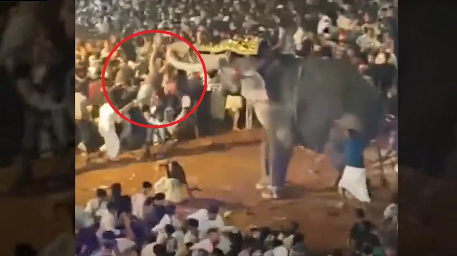 VIDEO: Rozzúrený slon sa vrhol na veriacich. Muž, ktorého schmatol chobotom, utrpel vážne zranenia