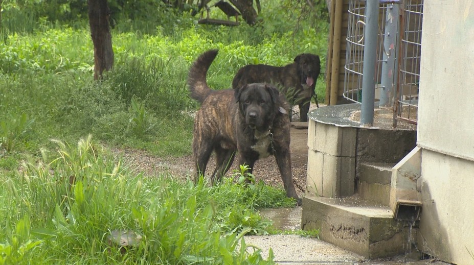 V „dome hrôzy“ v Hronovciach trpeli dôchodcovia. Teraz trpia susedia