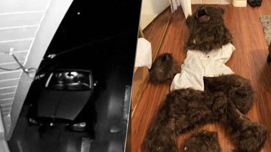 Kuriózny pokus o poistný podvod. Muž sa prezliekol za medveďa a zničil luxusné auto