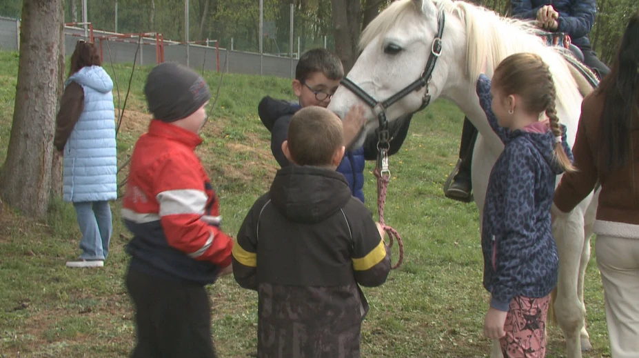 V rozvrhu im svieti netradičný predmet. Raz týždenne žiaci vymenia školskú lavicu za konské sedlo