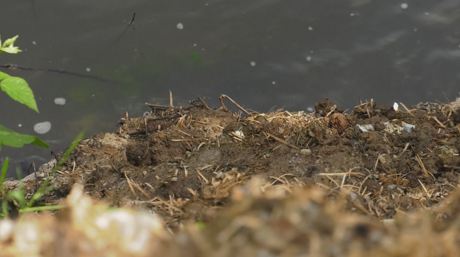 Odpudivá skládka pri Žiari nad Hronom: V okolí rieky je kopa zvieracích výkalov