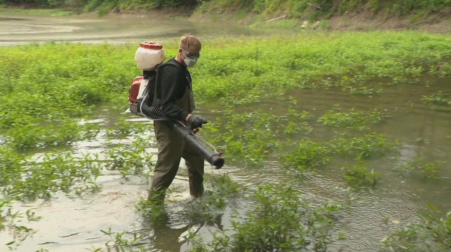 Po silných búrkach prichádza na rad boj s komármi. Pracovníci s postrekmi zasahovali na Devíne