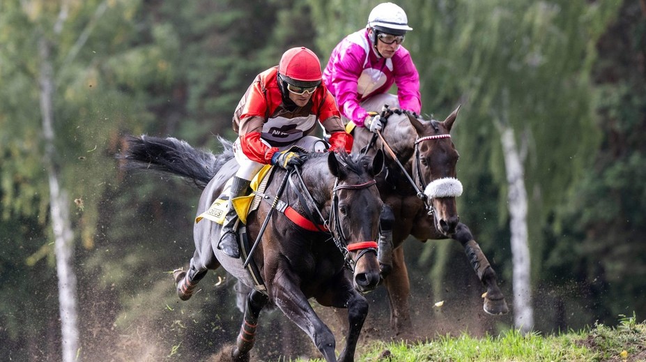 Veľkú pardubickú po troch dekádach ovládol zahraničný kôň. Slovák Matuský siahal na top päťku