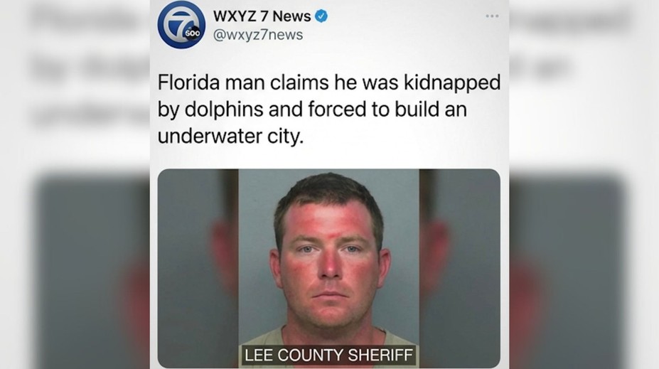 Delfíny uniesli muža a nútili ho stavať mesto? Virálny príbeh musela vyvracať polícia