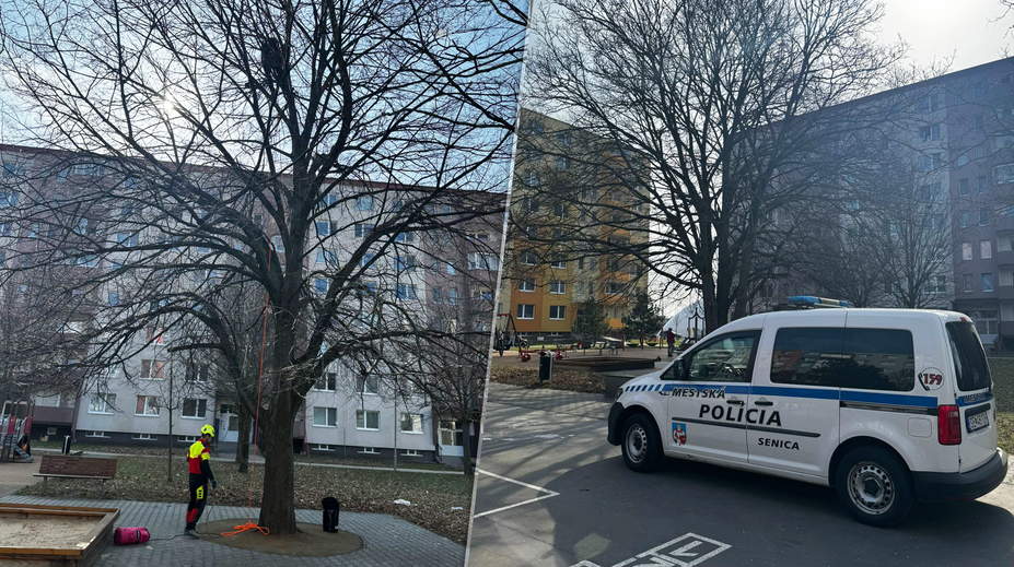 VIDEO: Kuriózny nález v Senici. Museli privolať špecialistu