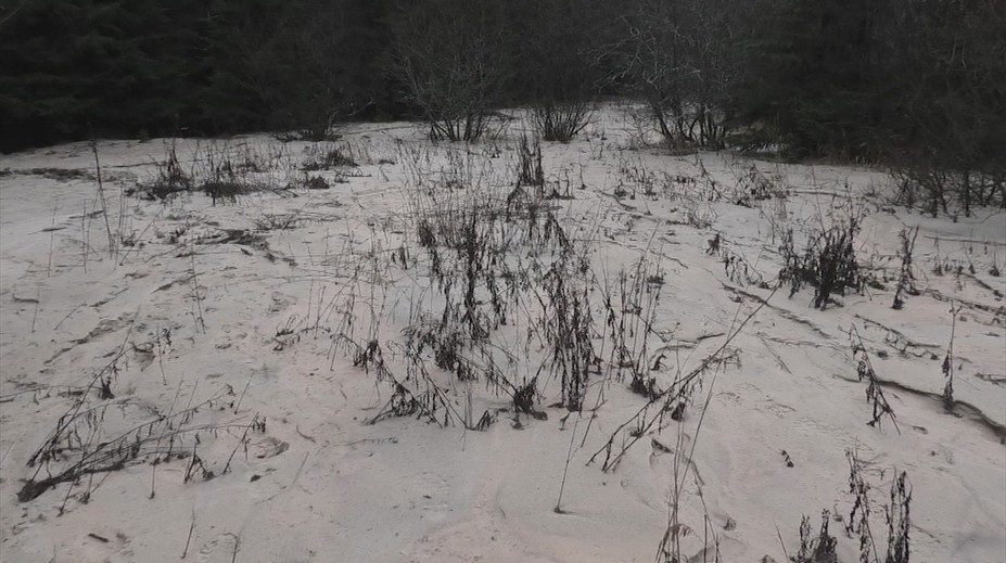 Mesiace po tragédii sú na dne Liptovskej Mary nebezpečné kaly. Dá sa v nej kúpať?