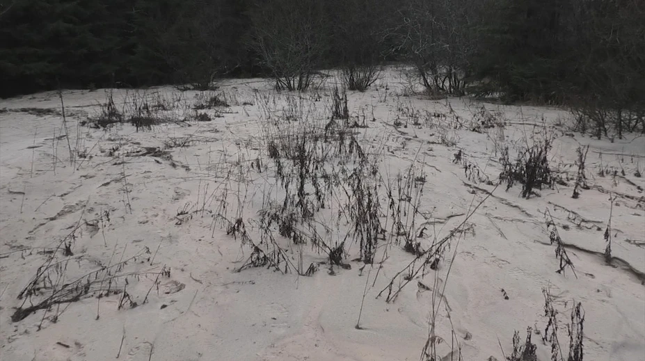 Mesiace po tragédii sú na dne Liptovskej Mary nebezpečné kaly. Dá sa v nej kúpať?